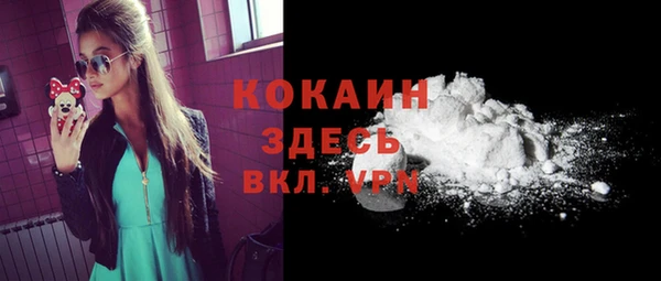 дмт Осташков