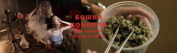 трава Осинники