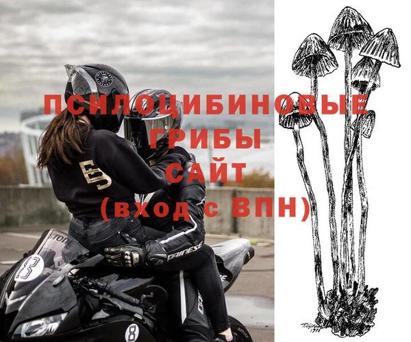 мет Абаза