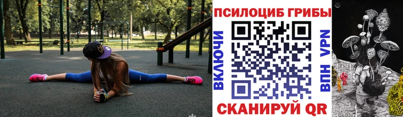 Псилоцибиновые грибы мухоморы  сколько стоит  блэк спрут   Янаул 